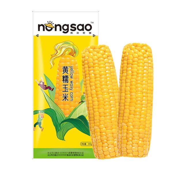 ذرت شیرین nongsao